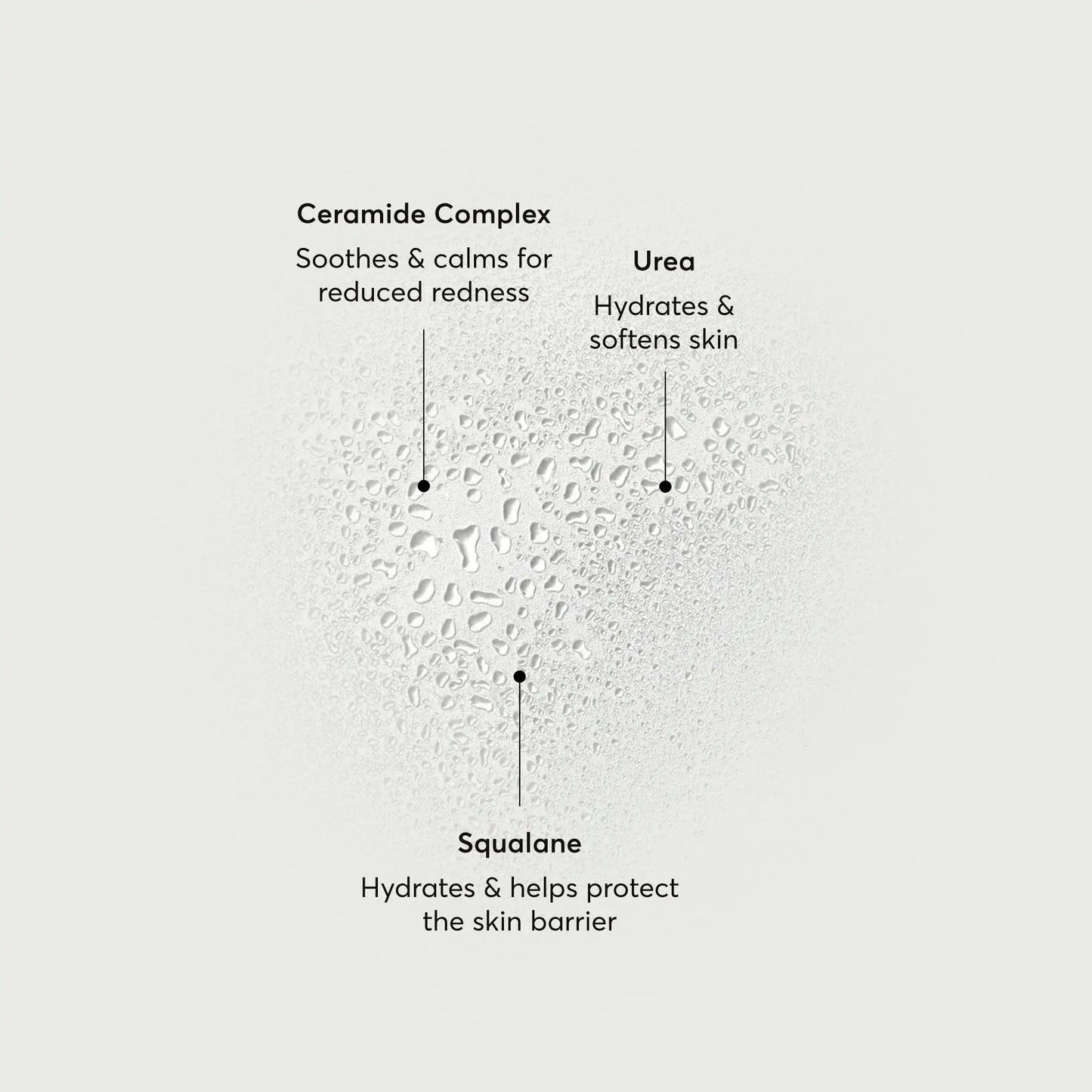 barrier-bounce-bi-phase-mist-p9 NATR-10167-Alt-Images-Barrier-Bounce-Bi-Phase-Toner-Mist_01.webp