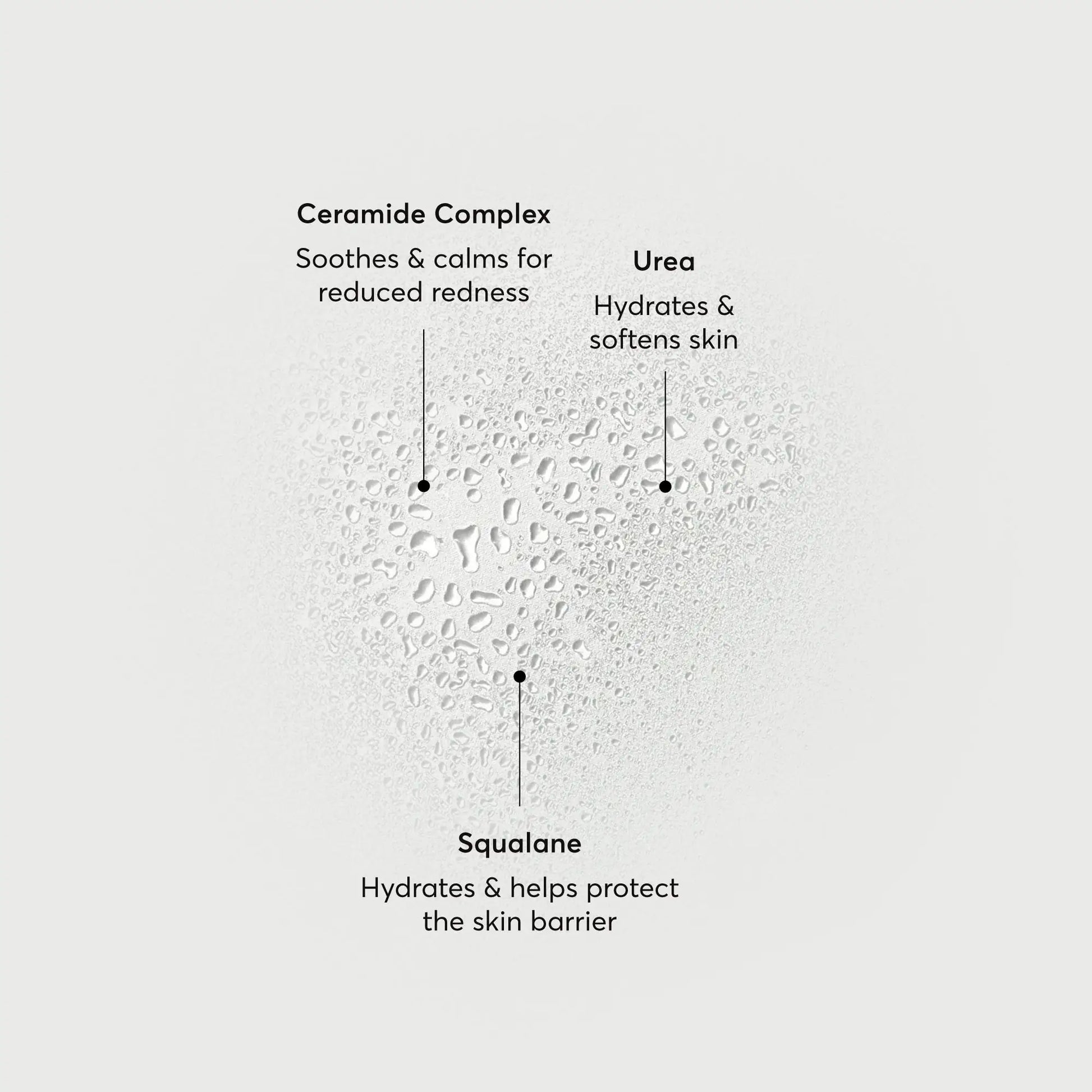 barrier-bounce-bi-phase-mist-y7 NATR-10167-Alt-Images-Barrier-Bounce-Bi-Phase-Toner-Mist_01.webp