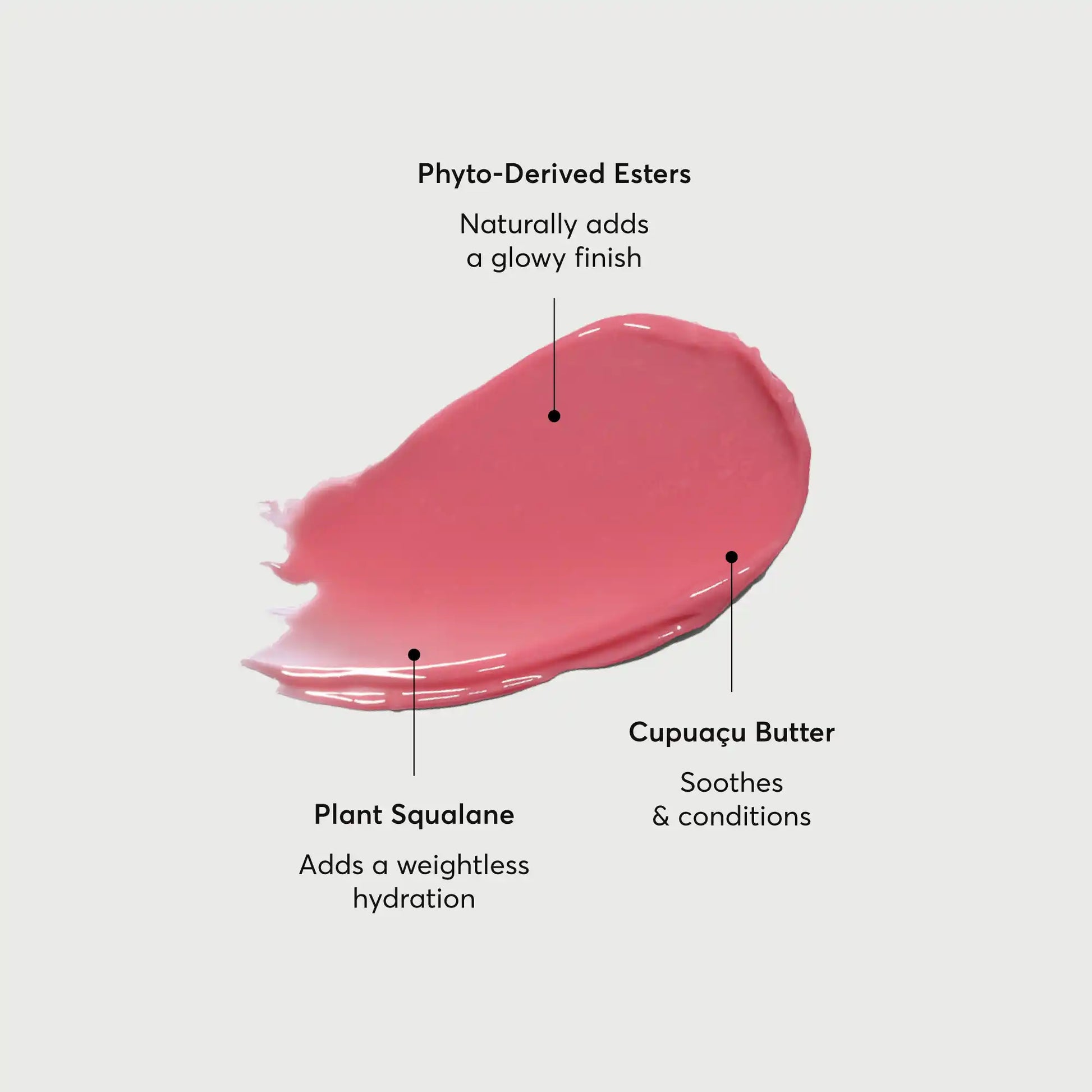 phyto-glow-lip-balm-petal-n5 NATR-60067-Alt-Images-Phyto-Glow-Lip-Balm-Petal-01.webp